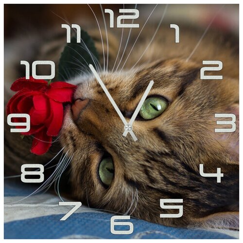 фото Svs настенные часы svs 3501862 кот с красным цветком