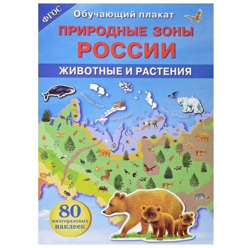 Плакат Стрекоза Природные зоны России. Животные и растения плакат животные россии 2986