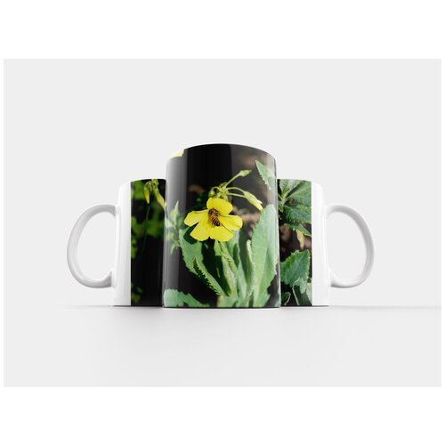 фото Кружка "пчела, медовый, кислый зев" 320 мл lotsprints