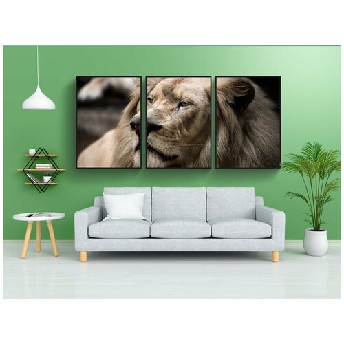 фото Набор модулных постеров для интерьера "лев, белый лев, большой кот" 60x90 см. в тубусе, без рамки lotsprints