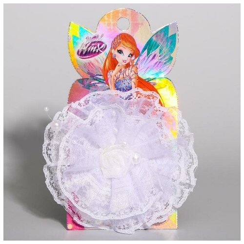   , 11 , WINX