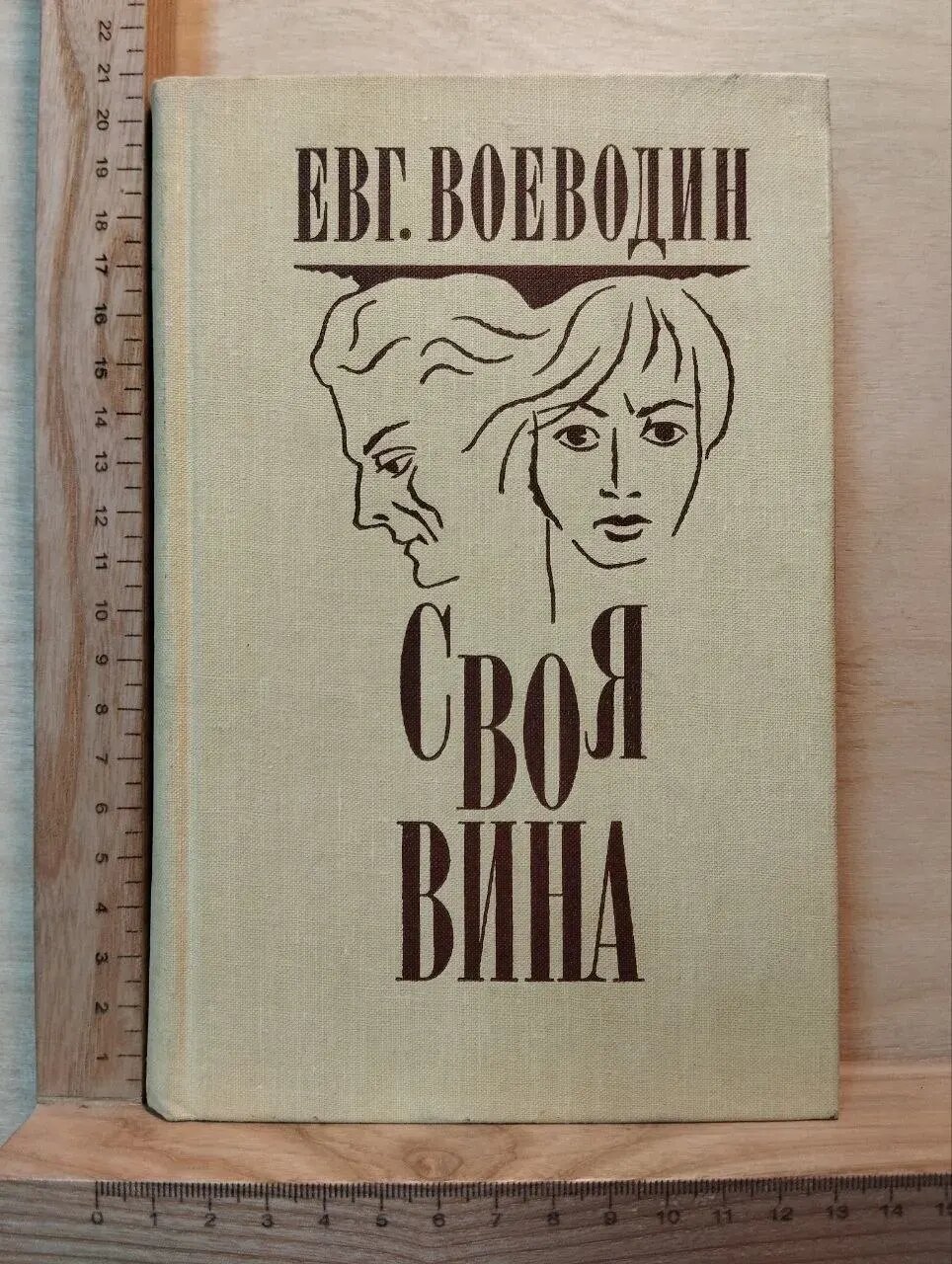 Своя вина