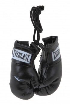 Брелок Everlast