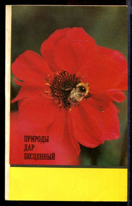 Филиппов П. И, Бутов А. Г. Природы дар бесценный | Мед и другие продукты пчеловодства в питании и медицине.