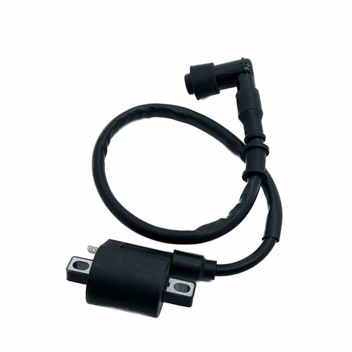 Катушка зажигания со свечным колпачком Regulmoto TE