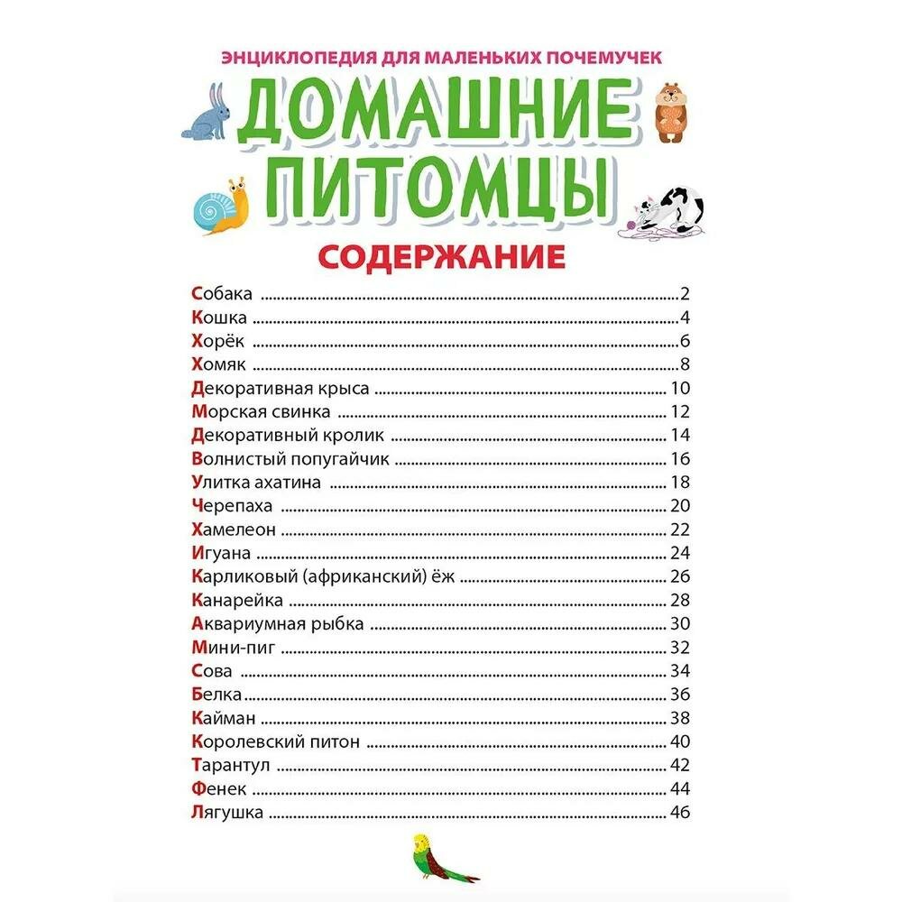 Энциклопедия для маленьких почемучек. Домашние питомцы - фото №6
