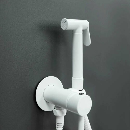 Гигиенический душ со смесителем BOCH MANN BRAIES SHW из латуни с шлангом 120 см цвет белый 5600₽