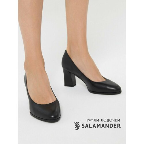 SALAMANDER 080-651B-1102