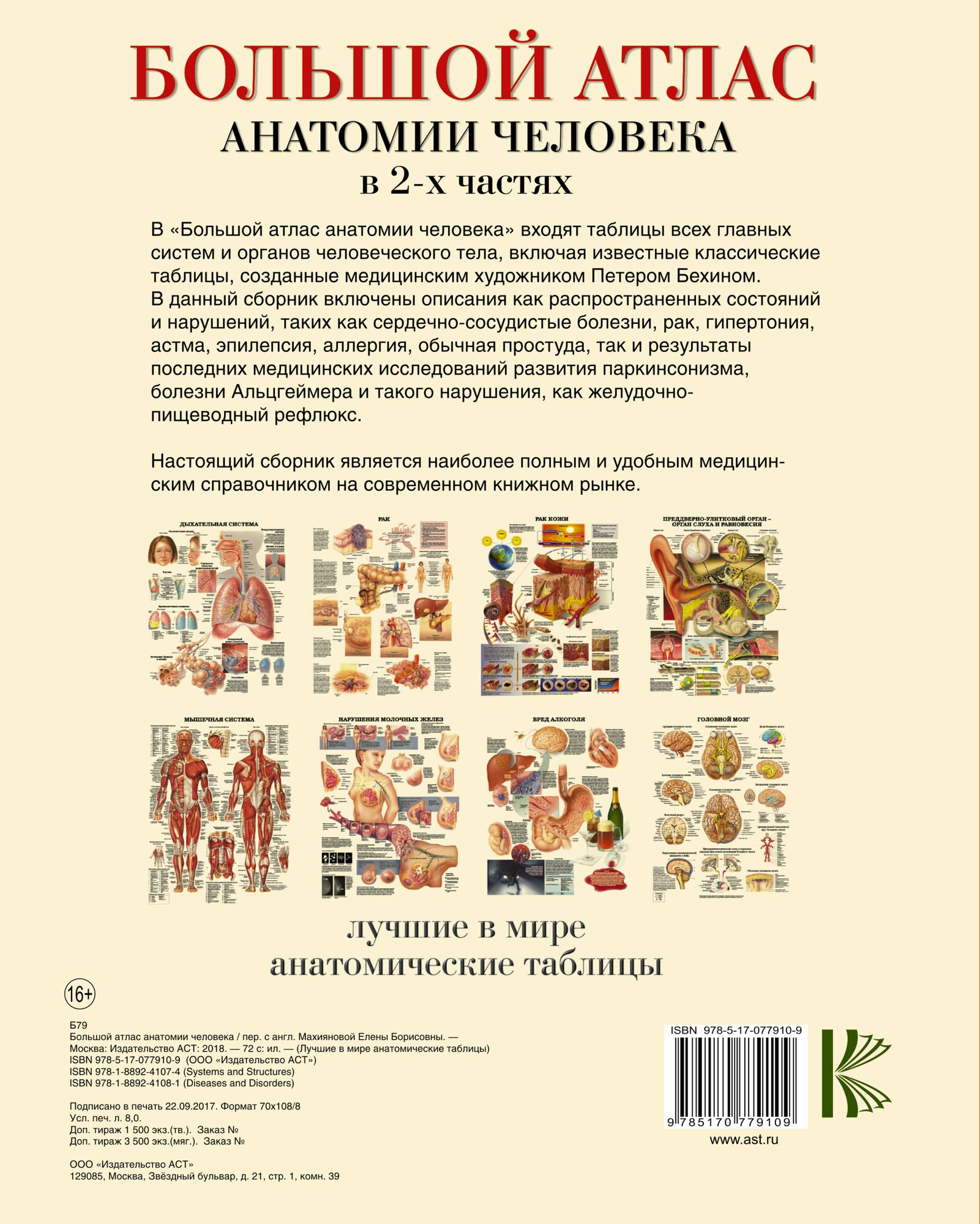 Большой атлас анатомии человека