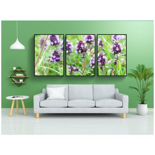 фото Набор модулных постеров для интерьера "тимьян, цвести, фиолетовый" 60x90 см. в тубусе, без рамки lotsprints