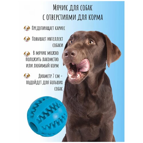 Игрушка для животных 7см (синий), мяч для собак, резиновая игрушка для собак, жевательная игрушка, грызак для собак, жевательный мяч мячик раскраска