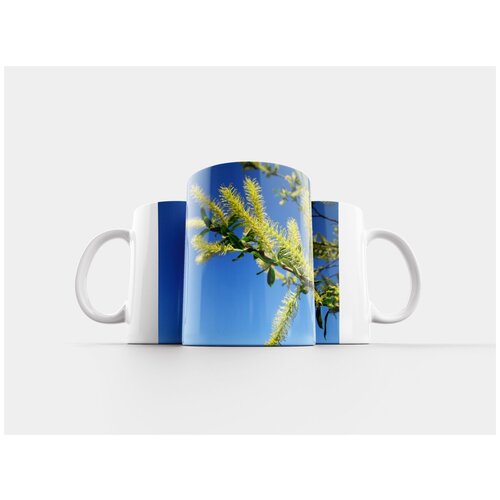 фото Кружка "salix alba, белая ива, серёжки" 320 мл lotsprints