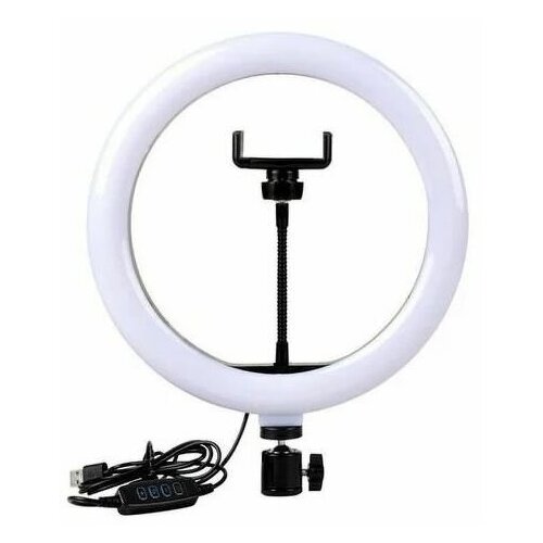 LED filling lamp S31 Beauty Live Round Lamp 32см Кольцевая светодиодная лампа 32см + штатив 2м