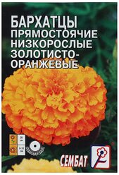 Семена цветов Бархатцы прямостоячий низкорослый золотисто-оранжевый, О, 0,1 г