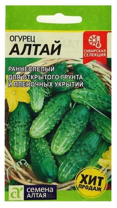 Семена Огурец "Алтай", раннеспелый, пчелоопыляемый, цп, 0,5 г