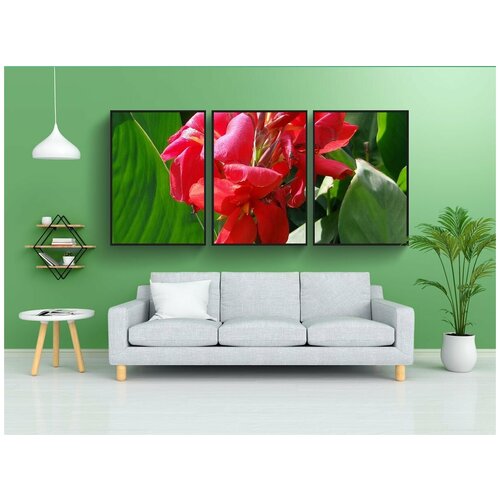 фото Набор модулных постеров для интерьера "канна, кели, канна лилия" 60x90 см. в тубусе, без рамки lotsprints