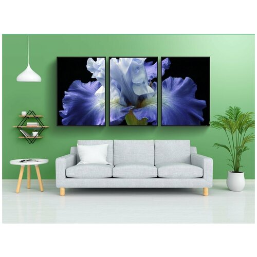 фото Набор модулных постеров для интерьера "цвести, ботаника, цвет" 60x90 см. в тубусе, без рамки lotsprints