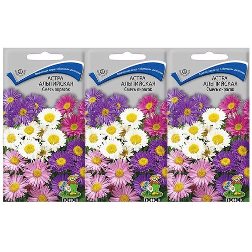 фото Набор семян цветов многолетников. астра альпийская смесь окрасок. 3 упаковки. поиск