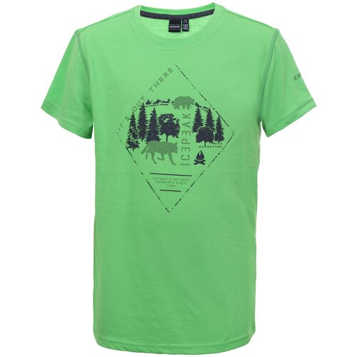 Футболка для активного отдыха детская Icepeak Keene Jr Emerald (Рост:140)