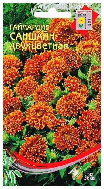Гайллардия Саншайн двуцветная 25 семян