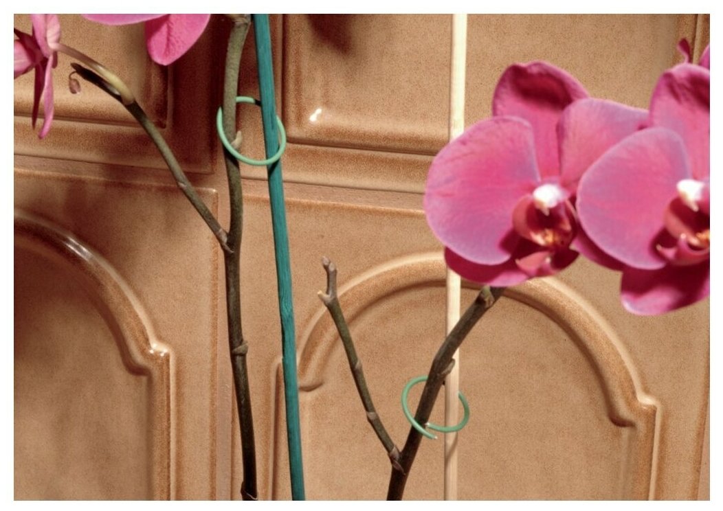 Опора для растений floraworld, бамбук, 40 см, 15 шт - фотография № 2