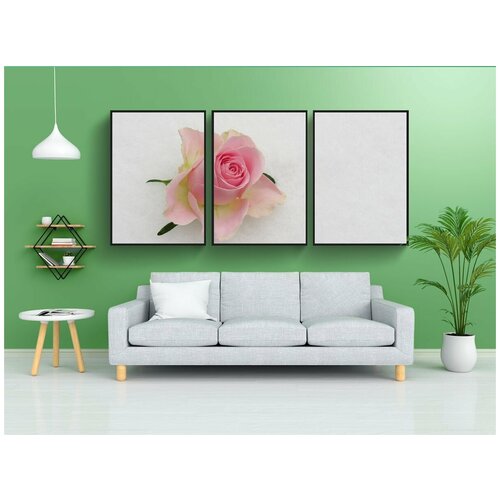 фото Набор модулных постеров для интерьера "роза, розовый, цветок" 60x90 см. в тубусе, без рамки lotsprints
