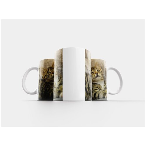 фото Кружка "кот, похмелье, скумбрия" 320 мл lotsprints