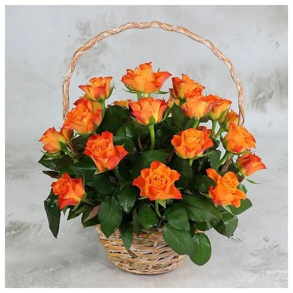 Букет живых цветов из 25 оранжевых роз в корзине 30см