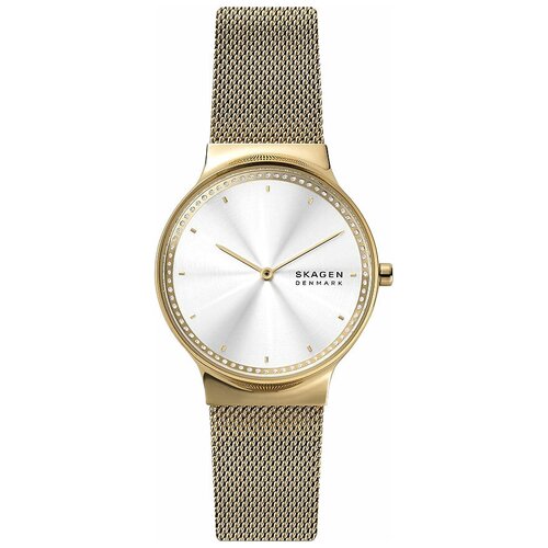 Наручные часы Skagen SKW1148