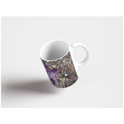 фото Кружка "морская звезда, звездная рыба, фиолетовая рыба 320 мл. белая" lotsprints