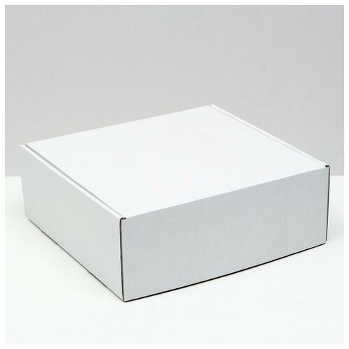 Коробка самосборная, белая, 26 х 25 х 9,5 см