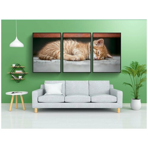 фото Набор модулных постеров для интерьера "кошка, котенок, милый" 60x90 см. в тубусе, без рамки lotsprints