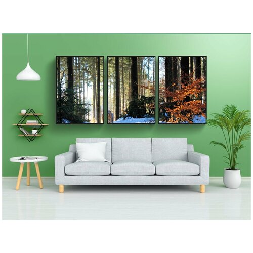 фото Набор модулных постеров для интерьера "древесина, дерево, природа" 60x90 см. в тубусе, без рамки lotsprints