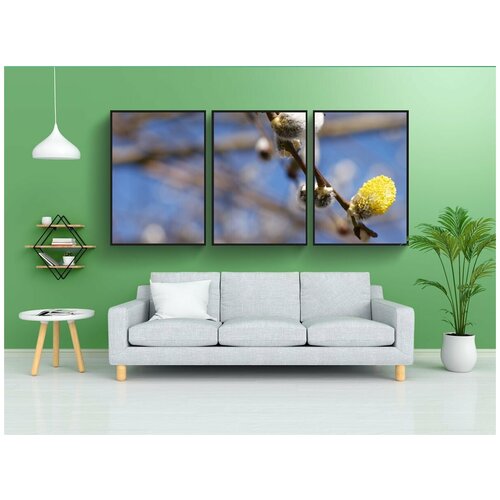 фото Набор модулных постеров для интерьера "ива, волосатый, пушистый" 60x90 см. в тубусе, без рамки lotsprints