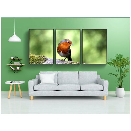 фото Набор модулных постеров для интерьера "птица, робин, перо" 60x90 см. в тубусе, без рамки lotsprints