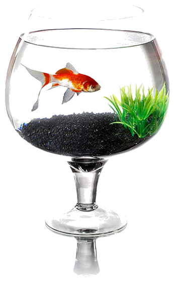 Грунт для аквариума фр. 3,0-5,0 мм (5кг) Аквагрунт NeroOro - фотография № 17