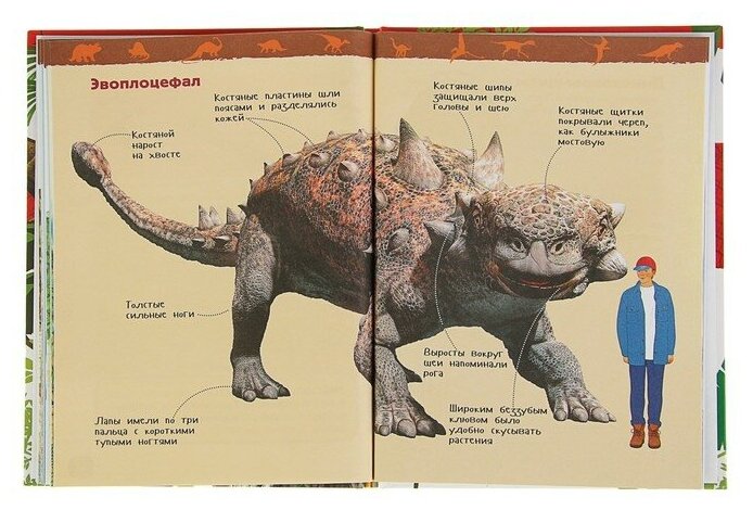Динозавры. Энциклопедия для детского сада - фото №8