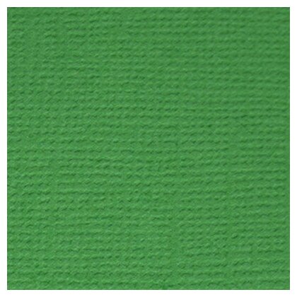 Бумага для скрапбукинга PST 216 г/кв. м 30.5 x 30.5 см 10 шт. 26 Лесной папоротник (т. зелёный)