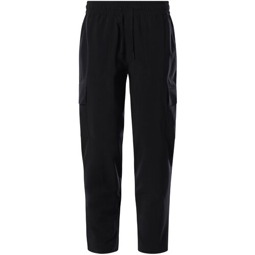 The North Face Брюки Denali Pant M M, black