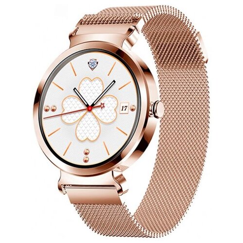 BandRate Smart BRSDT1GGWB 920000₽