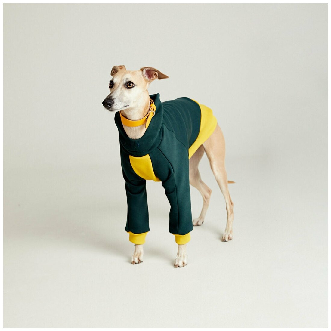 WOOFLER / Толстовка для Уиппета, худи из футера для борзых, зимняя одежда для собак мелких и средних пород, желто-зеленый М44 - фотография № 2