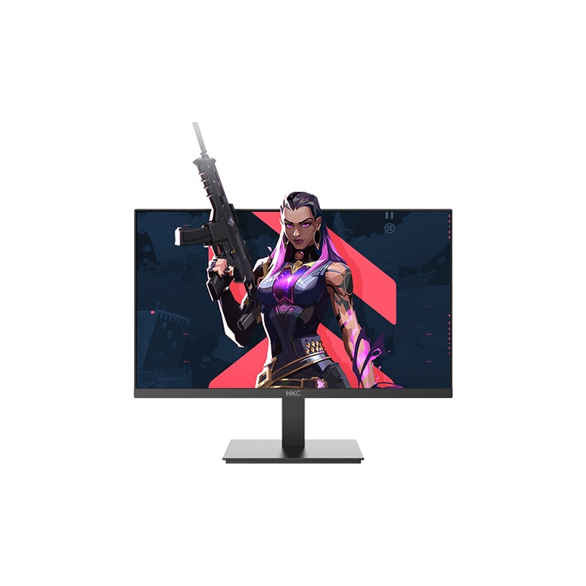 Мониторы HKC