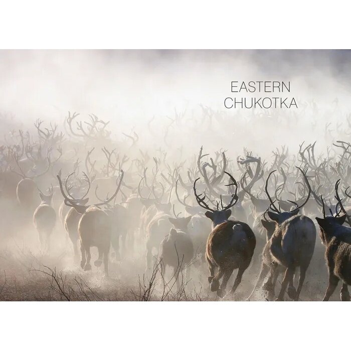 Chukotka. Modern Guide (без автора) - фото №8