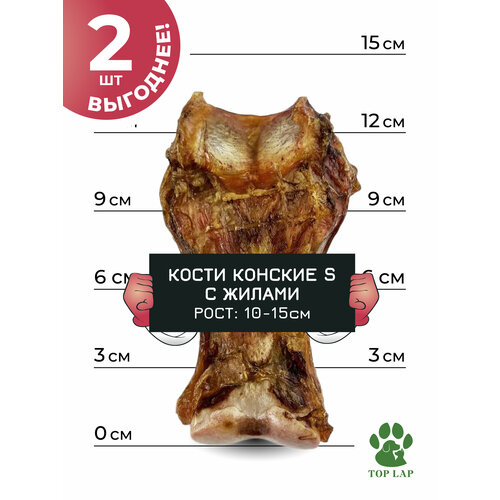 Косточка конская кость малая с жилами 2 штуки