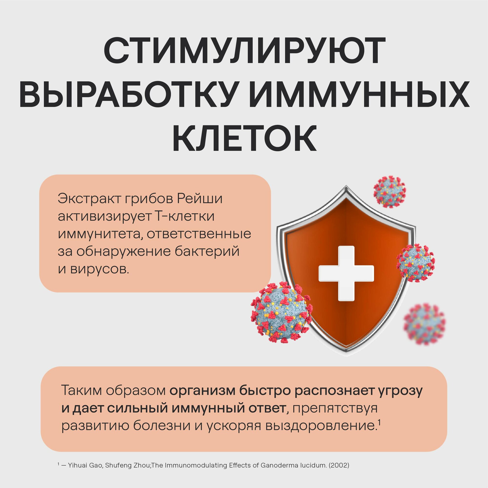 Изображение Грибы Рейши 4FRESH health, БАД для иммунитета, пищеварения и нервной системы, 60 капсул