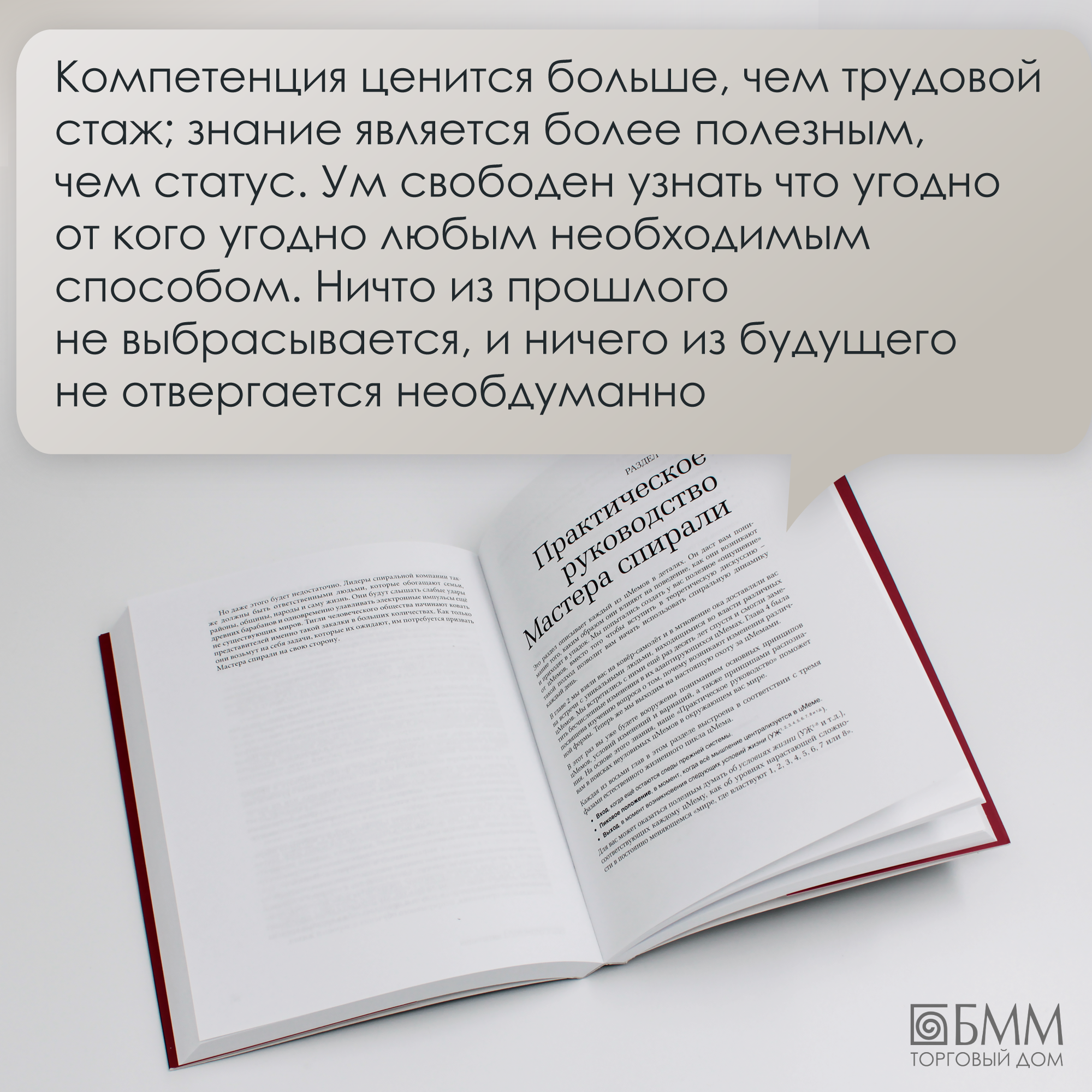 Спиральная динамика (Касьяненко Татьяна Геннадьевна, Краснова Анастасия Даминдаровна) - фото №17