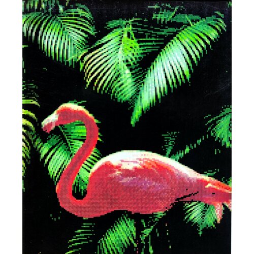 Алмазная мозаика квадратные стразы пара, 40*50 попугаи, розовый фламинго какаду, птицы, экзотика, тропики, ара.