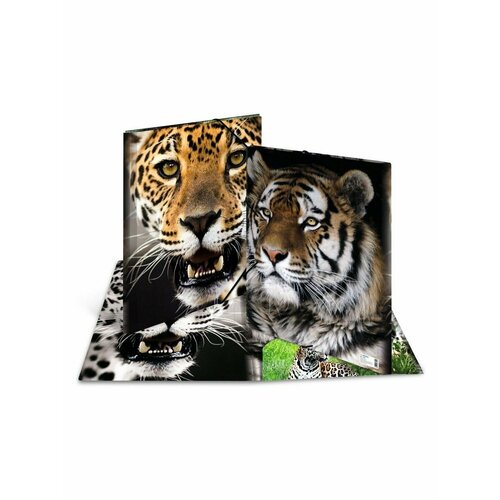 Папка для документов на резинке, пластик А3