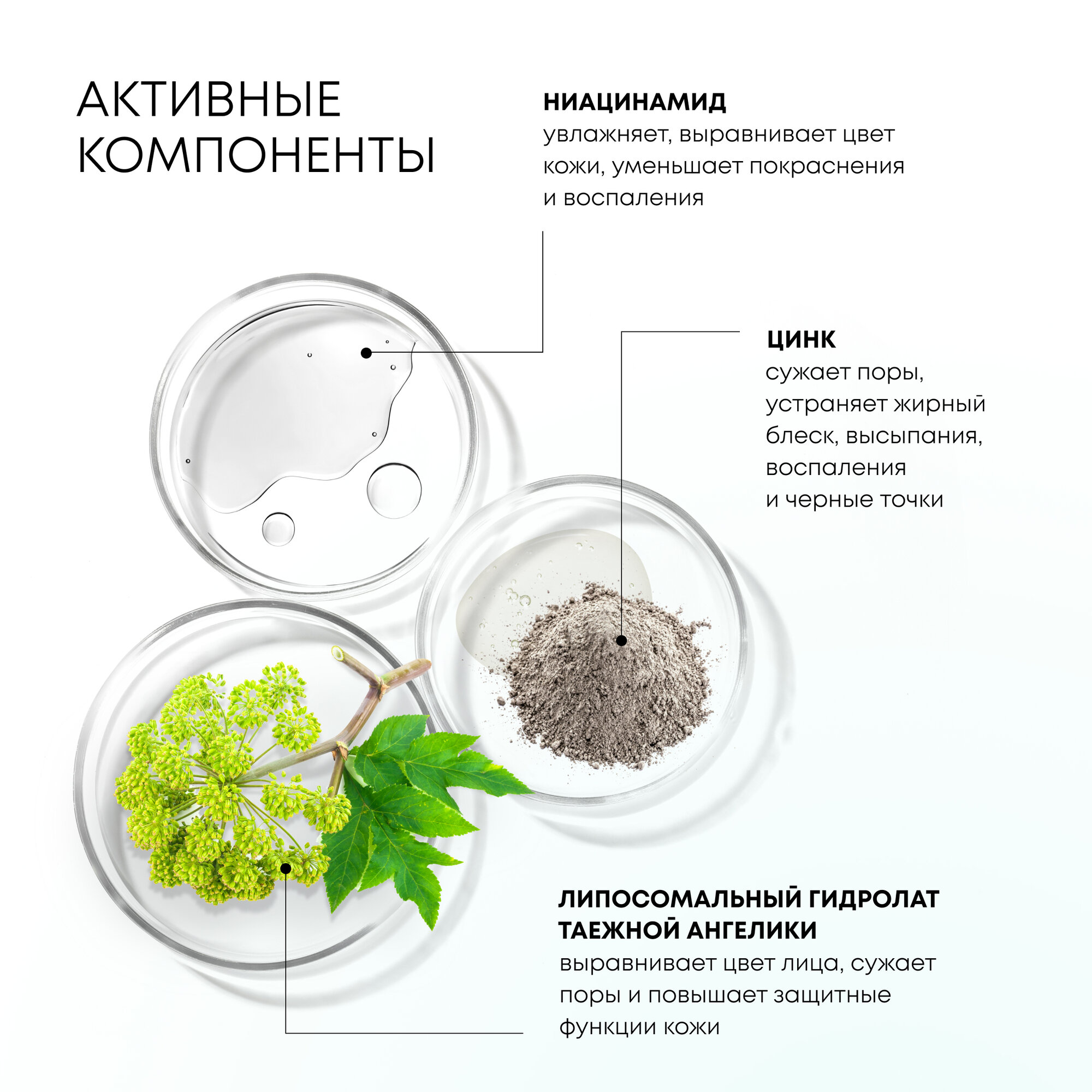 Мицеллярная вода для жирной, комбинированной кожи Natura Siberica LAB Biome Balance, 450 мл