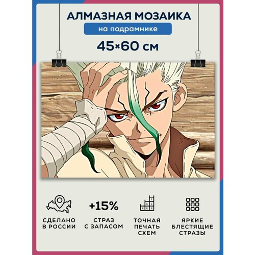 фото Алмазная мозаика 45x60 доктор стоун на подрамнике diamond canvas